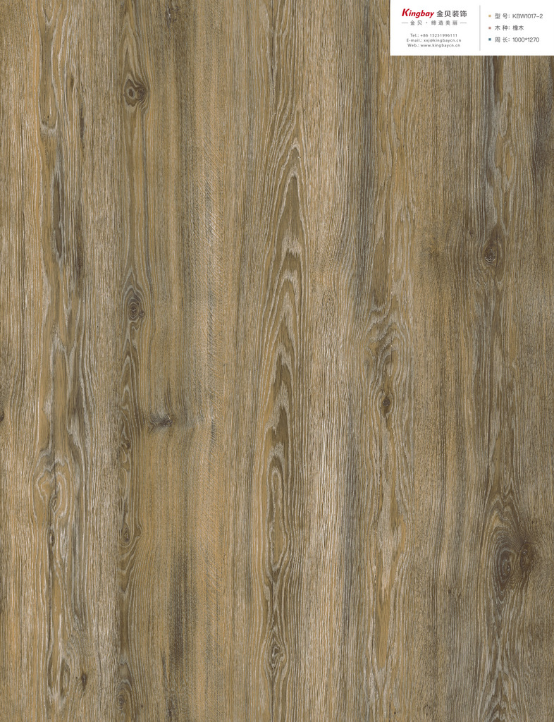 KBW1017-2整版图 KBW1017-2整版图