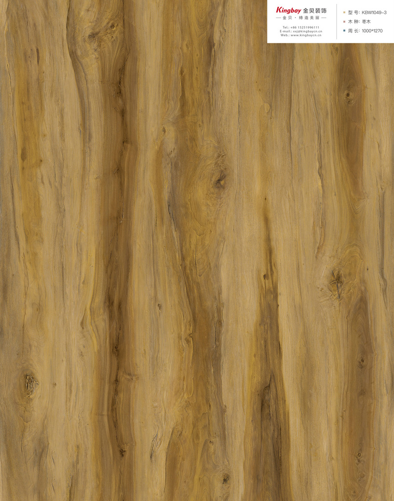 KBW1049-3整版图 KBW1049-3整版图