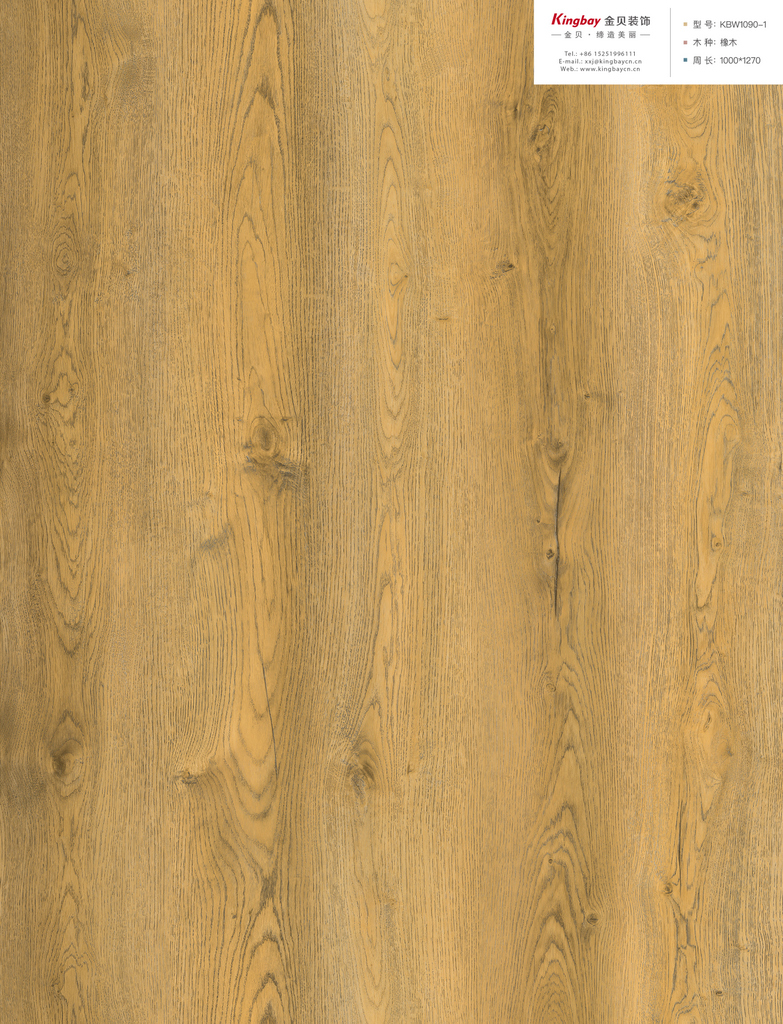 KBW1090-1整版图 KBW1090-1整版图