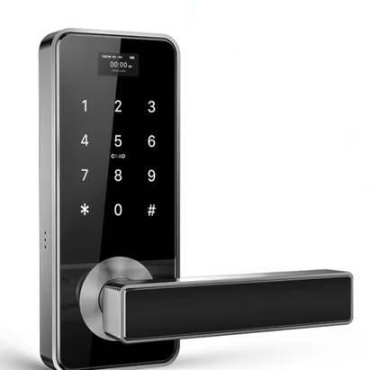 Smart Lock - H10