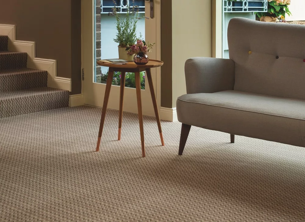 Carpet-Z&V Carpet-Z&V