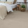 Carpet-Z&V Carpet-Z&V