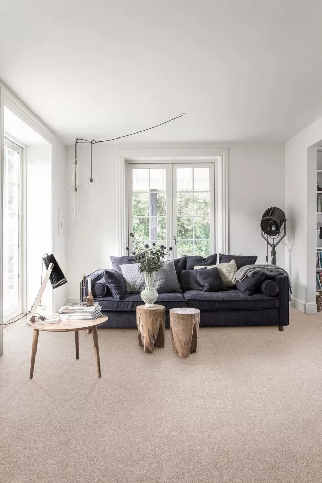 Carpet-Z&V Carpet-Z&V