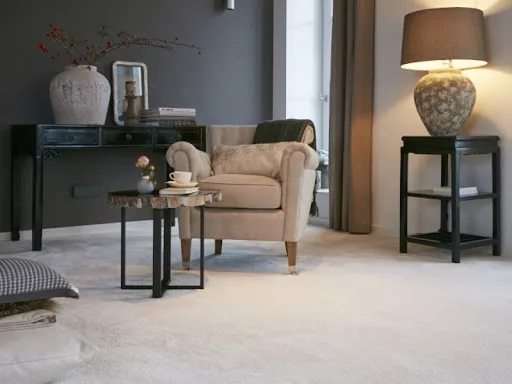 Carpet-Z&V Carpet-Z&V