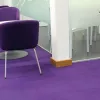 Carpet – Z&V Carpet - Z&V